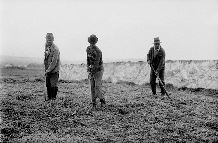 minerva_Agrar_c1_c3r5_019