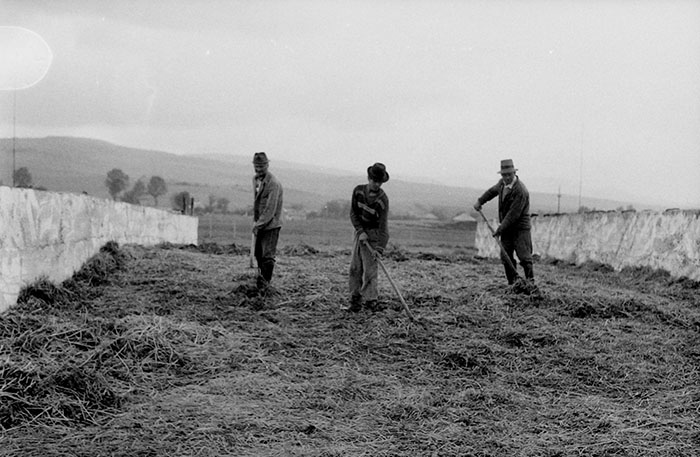 minerva_Agrar_c1_c3r5_020