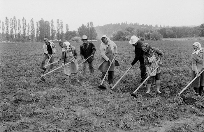 minerva_Agrar_c1_c3r5_021