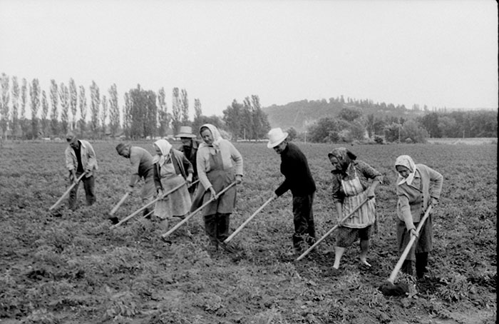 minerva_Agrar_c1_c3r5_022