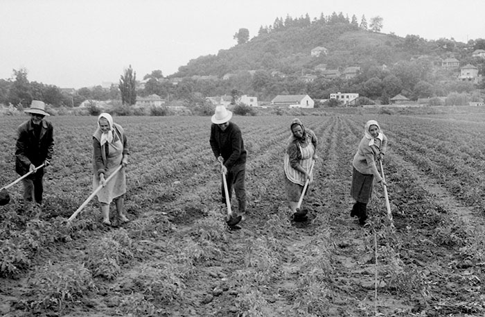 minerva_Agrar_c1_c3r5_023