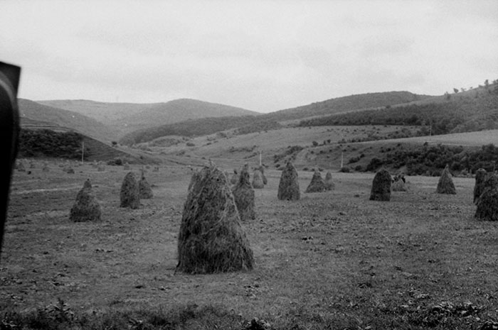 minerva_Agrar_c1_c3r5_030