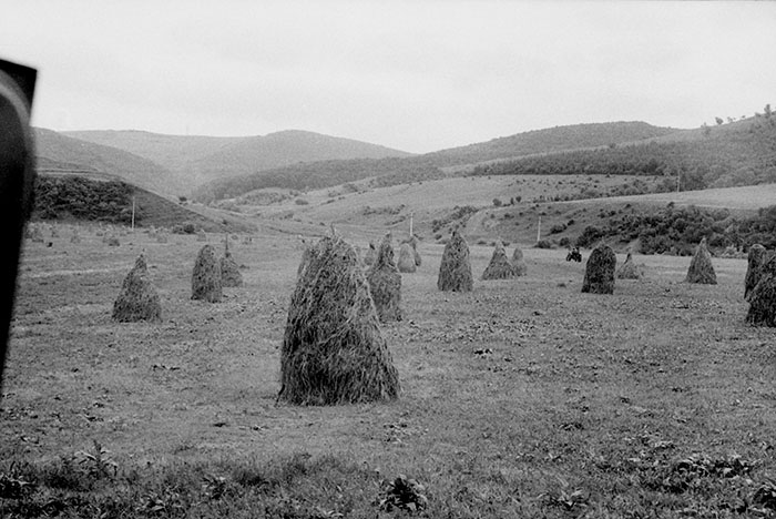 minerva_Agrar_c1_c3r5_031