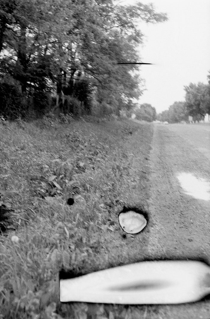 minerva_Agrar_c1_c3r5_033