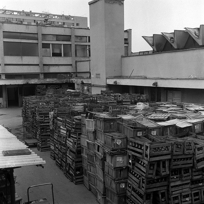 minerva_Agrar_c1_c4r1_001