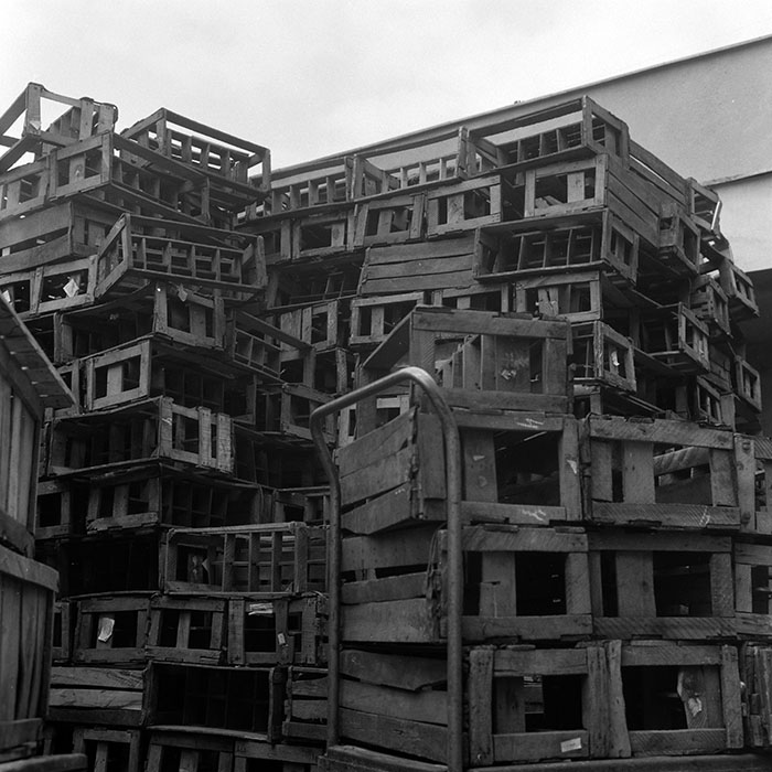 minerva_Agrar_c1_c4r1_002