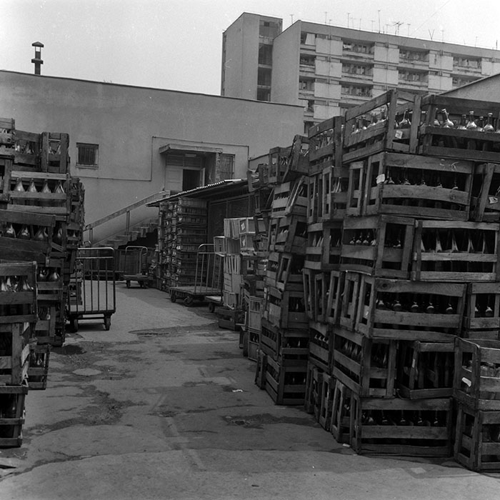 minerva_Agrar_c1_c4r1_004