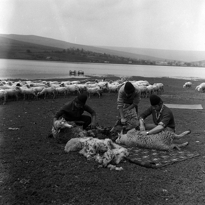 minerva_Agrar_c1_c4r1_005