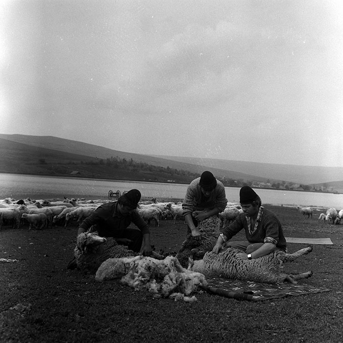 minerva_Agrar_c1_c4r1_006