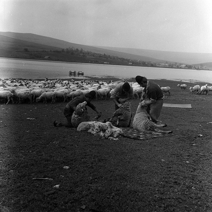 minerva_Agrar_c1_c4r1_007