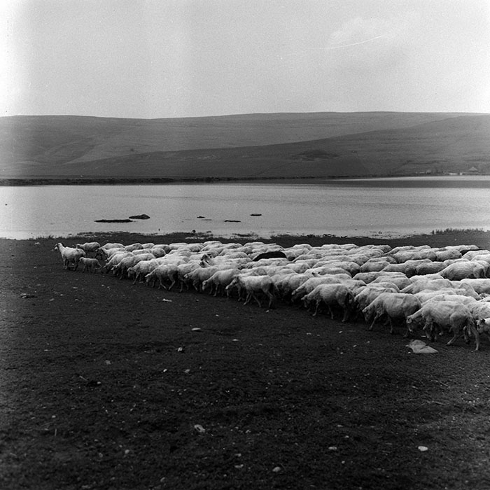 minerva_Agrar_c1_c4r1_008