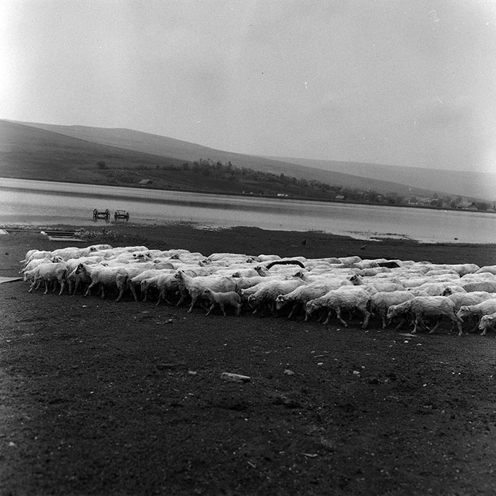 minerva_Agrar_c1_c4r1_009