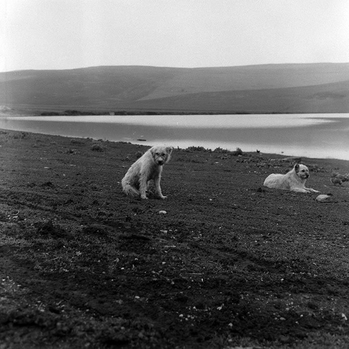 minerva_Agrar_c1_c4r1_010