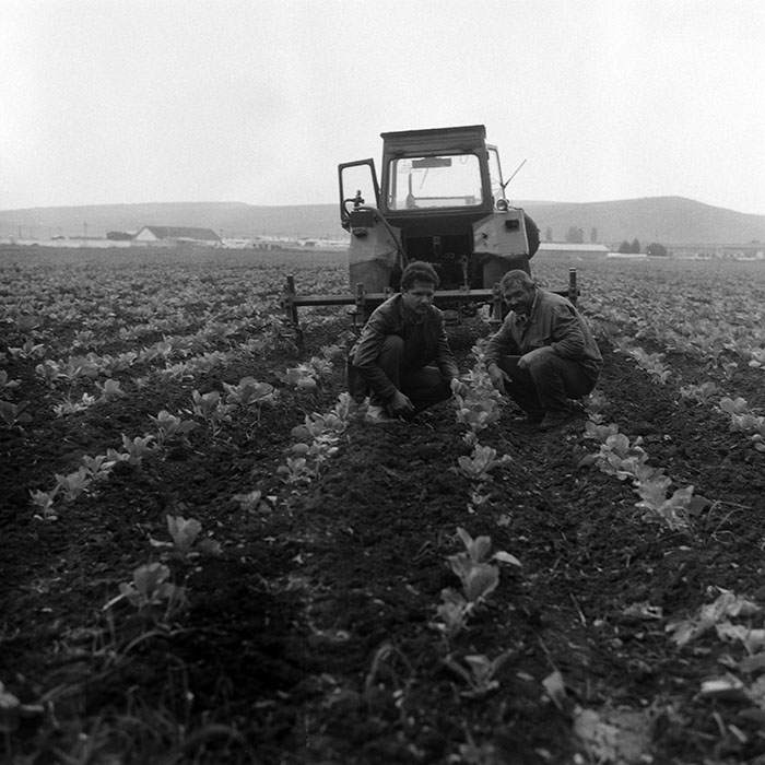 minerva_Agrar_c1_c4r1_011