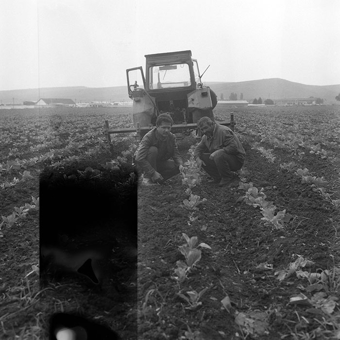 minerva_Agrar_c1_c4r1_012