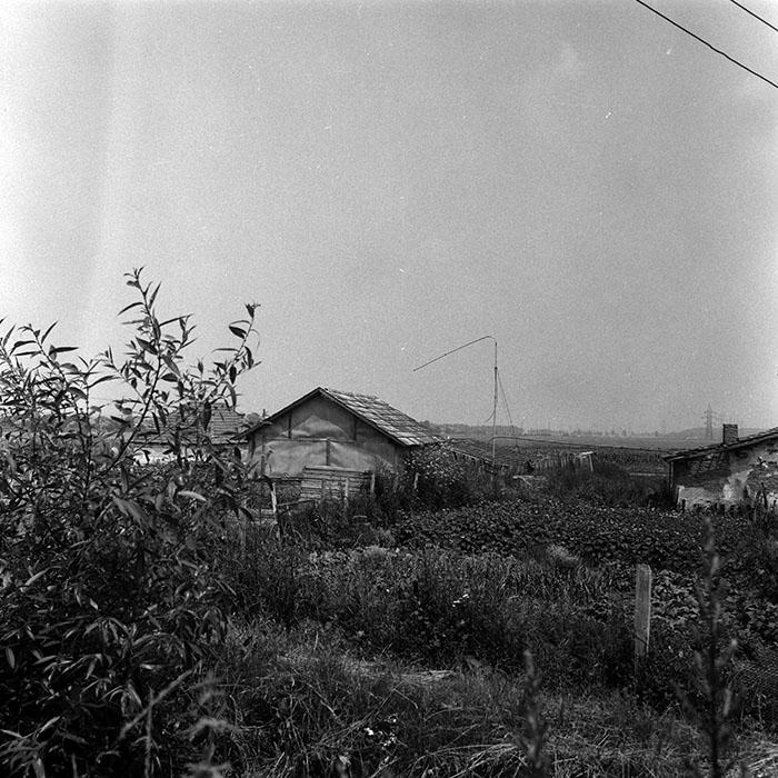 minerva_Agrar_c1_c4r2_008