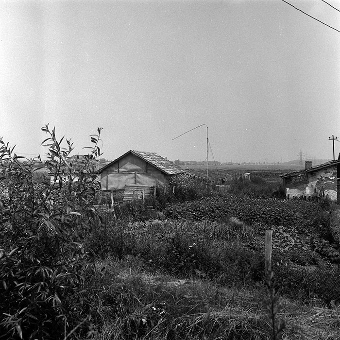 minerva_Agrar_c1_c4r2_009