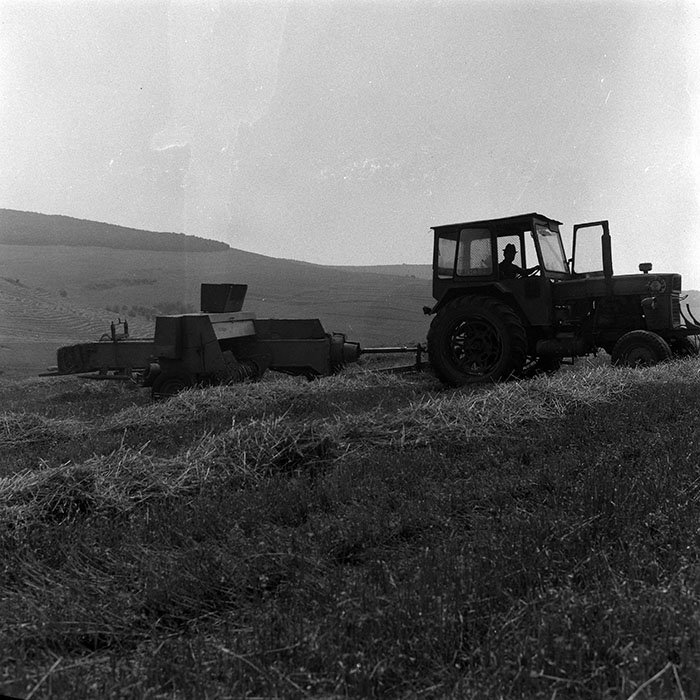 minerva_Agrar_c1_c4r3_001