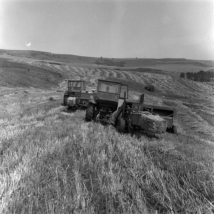 minerva_Agrar_c1_c4r3_002