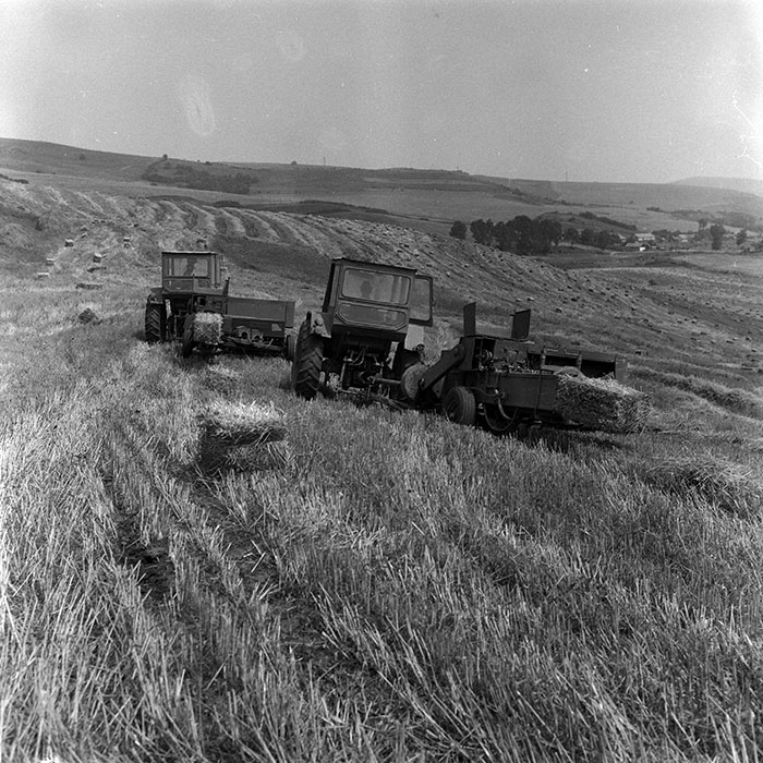 minerva_Agrar_c1_c4r3_003