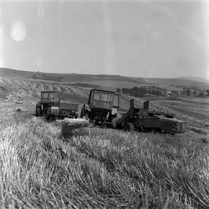 minerva_Agrar_c1_c4r3_004