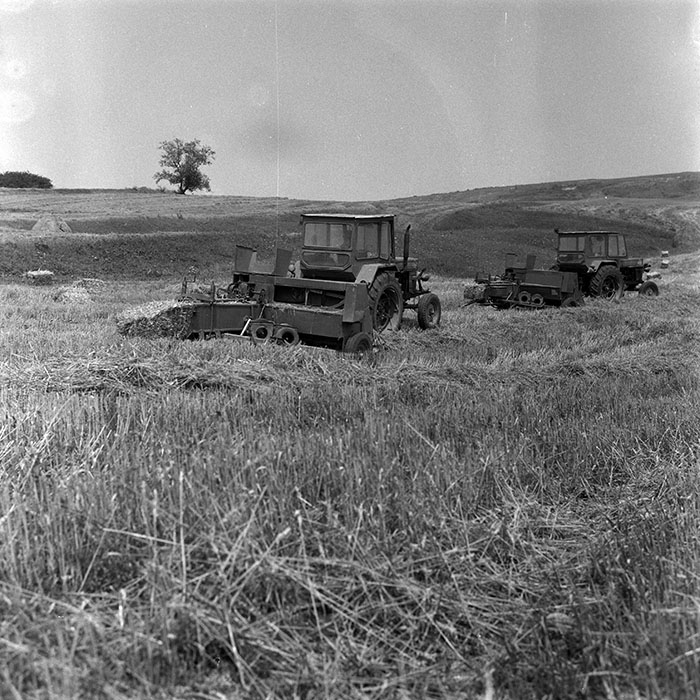 minerva_Agrar_c1_c4r3_007