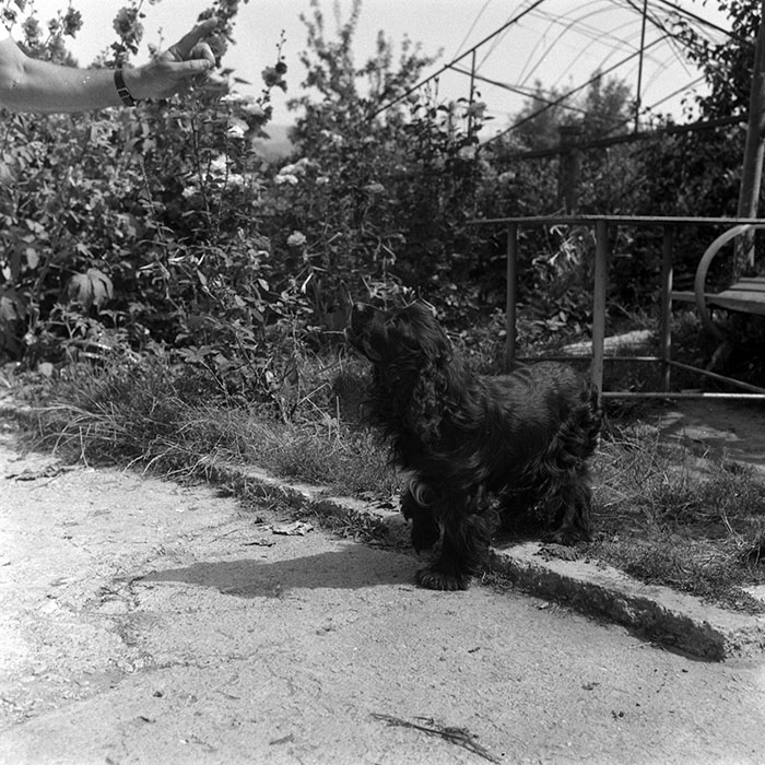 minerva_Agrar_c1_c4r3_008