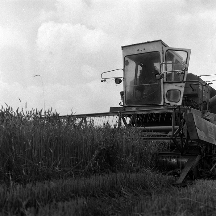 minerva_Agrar_c1_c4r3_013