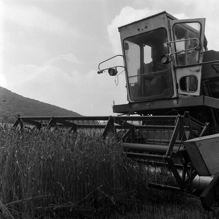 minerva_Agrar_c1_c4r3_014