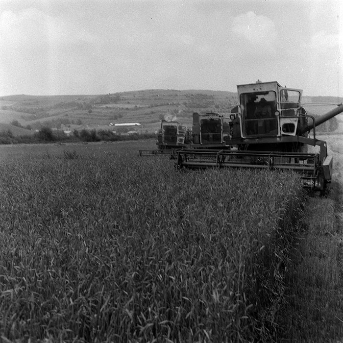 minerva_Agrar_c1_c4r3_015