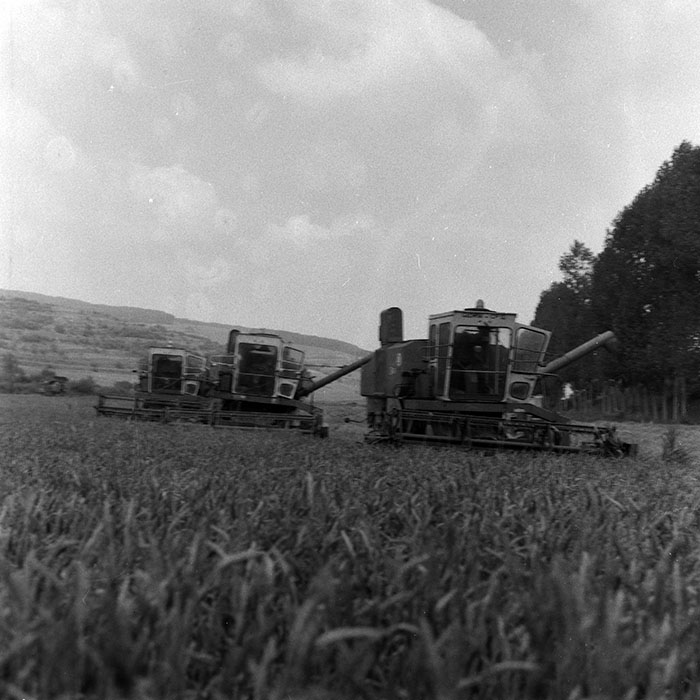 minerva_Agrar_c1_c4r3_016