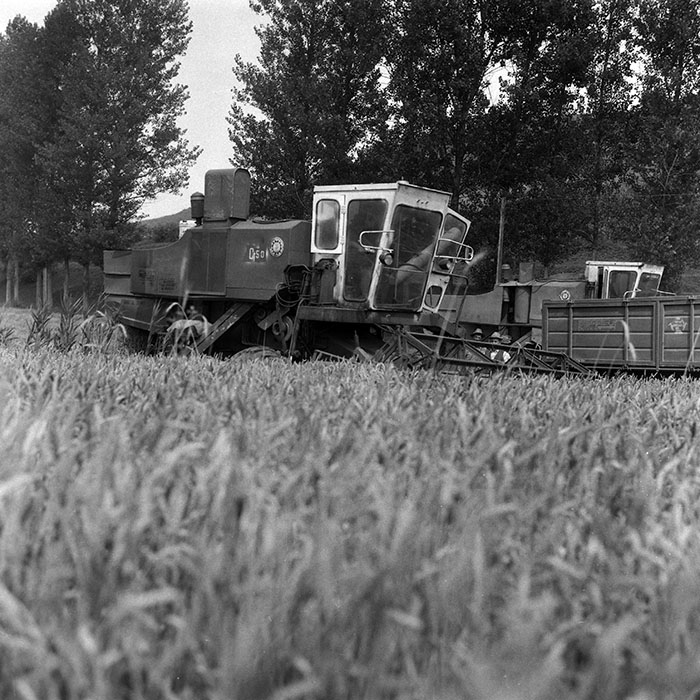 minerva_Agrar_c1_c4r3_017