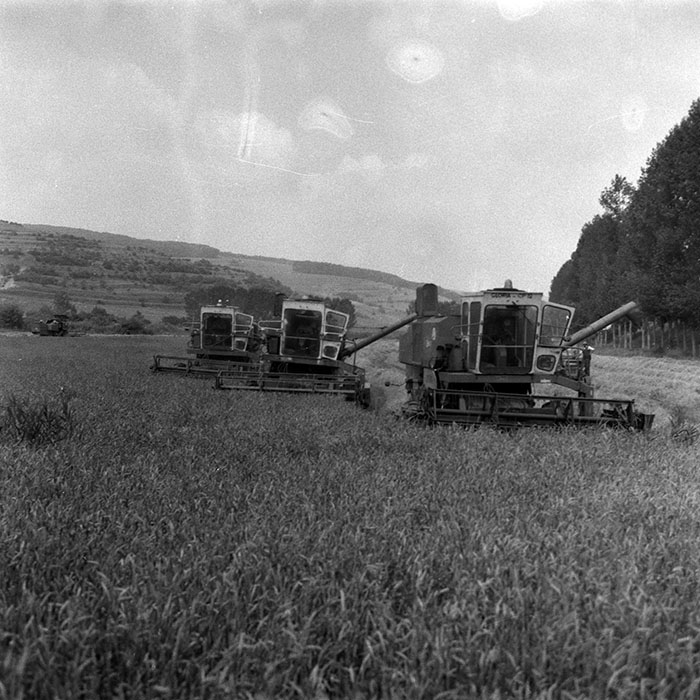 minerva_Agrar_c1_c4r3_018