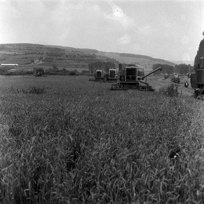 minerva_Agrar_c1_c4r3_020