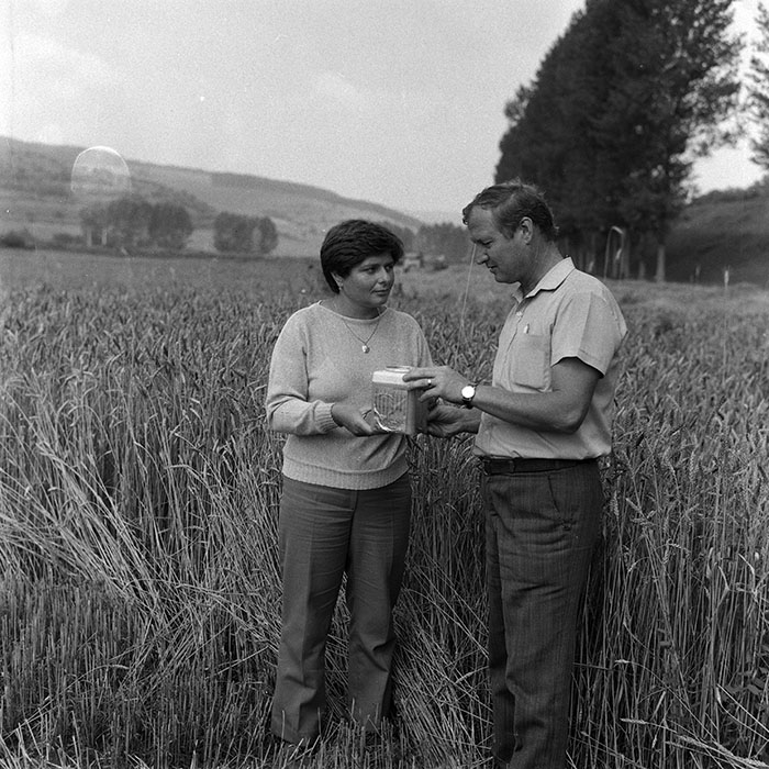 minerva_Agrar_c1_c4r3_022