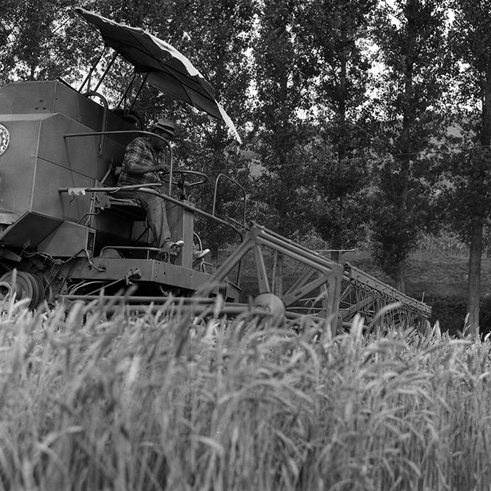 minerva_Agrar_c1_c4r3_024