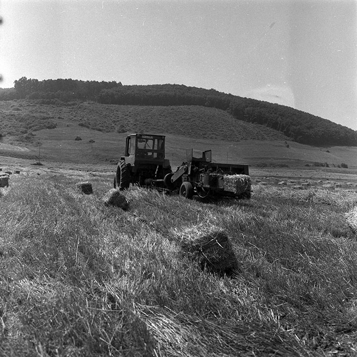 minerva_Agrar_c1_c4r3_027