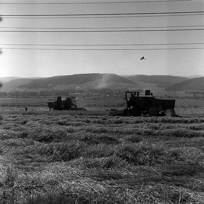 minerva_Agrar_c1_c4r3_028