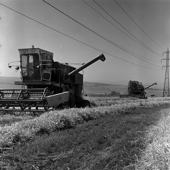 minerva_Agrar_c1_c4r3_029