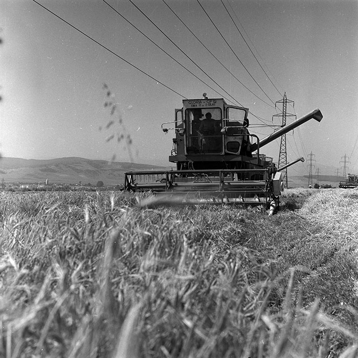 minerva_Agrar_c1_c4r3_030