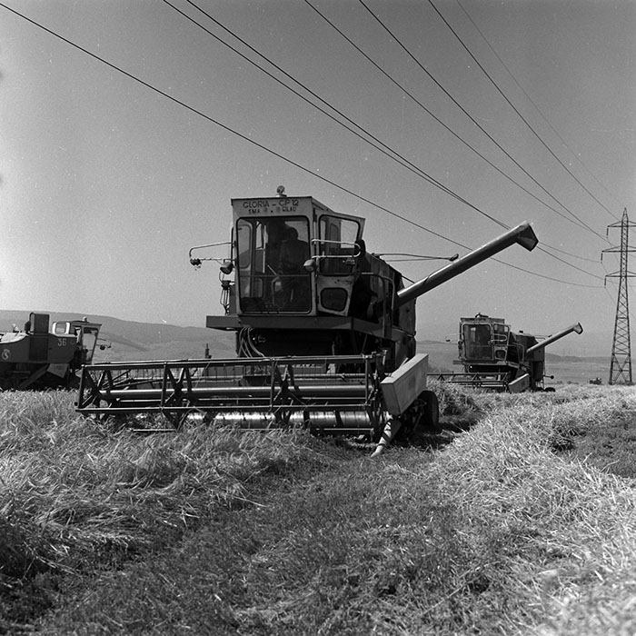 minerva_Agrar_c1_c4r3_031