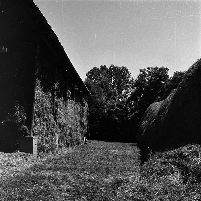 minerva_Agrar_c1_c4r3_036