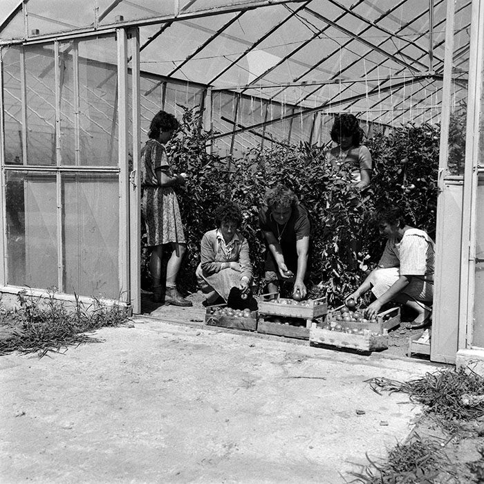 minerva_Agrar_c1_c4r4_001