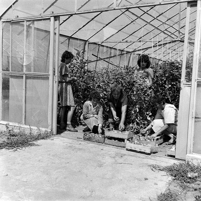 minerva_Agrar_c1_c4r4_002