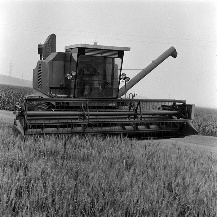 minerva_Agrar_c1_c4r4_009