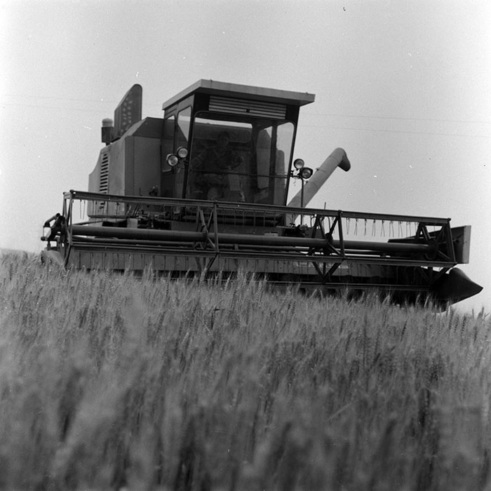 minerva_Agrar_c1_c4r4_010