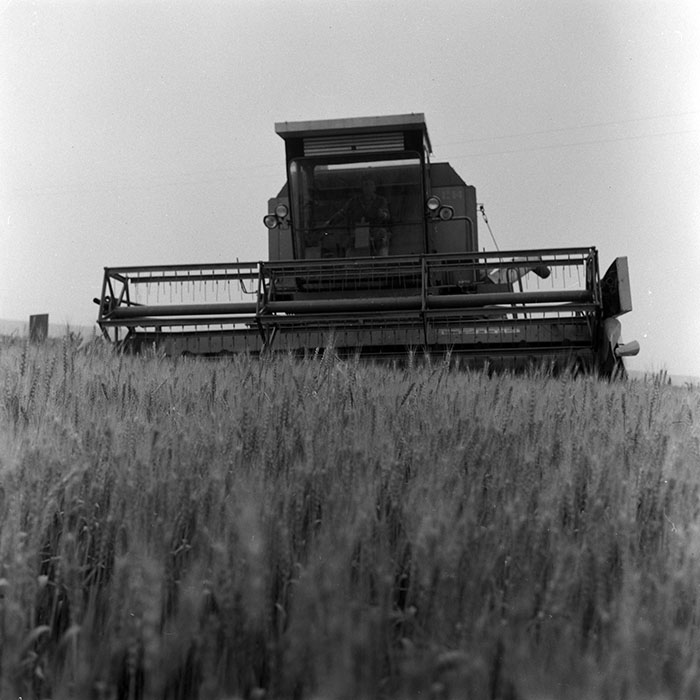 minerva_Agrar_c1_c4r4_011