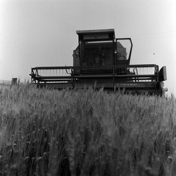 minerva_Agrar_c1_c4r4_012