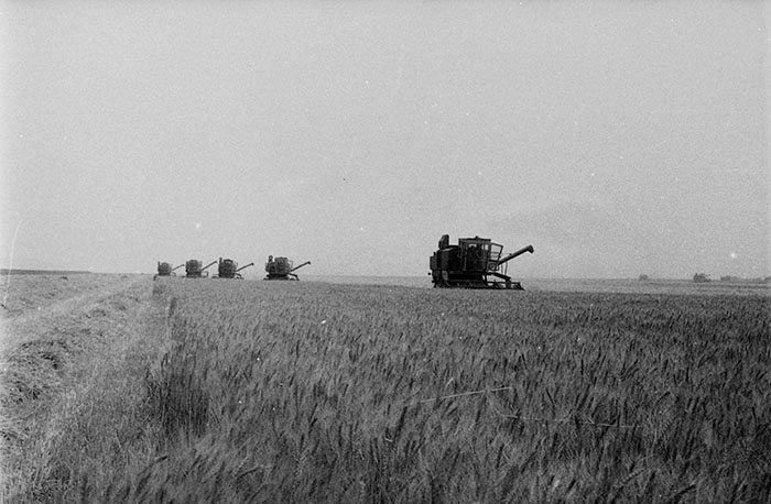 minerva_Agrar_c1_c4r5_002