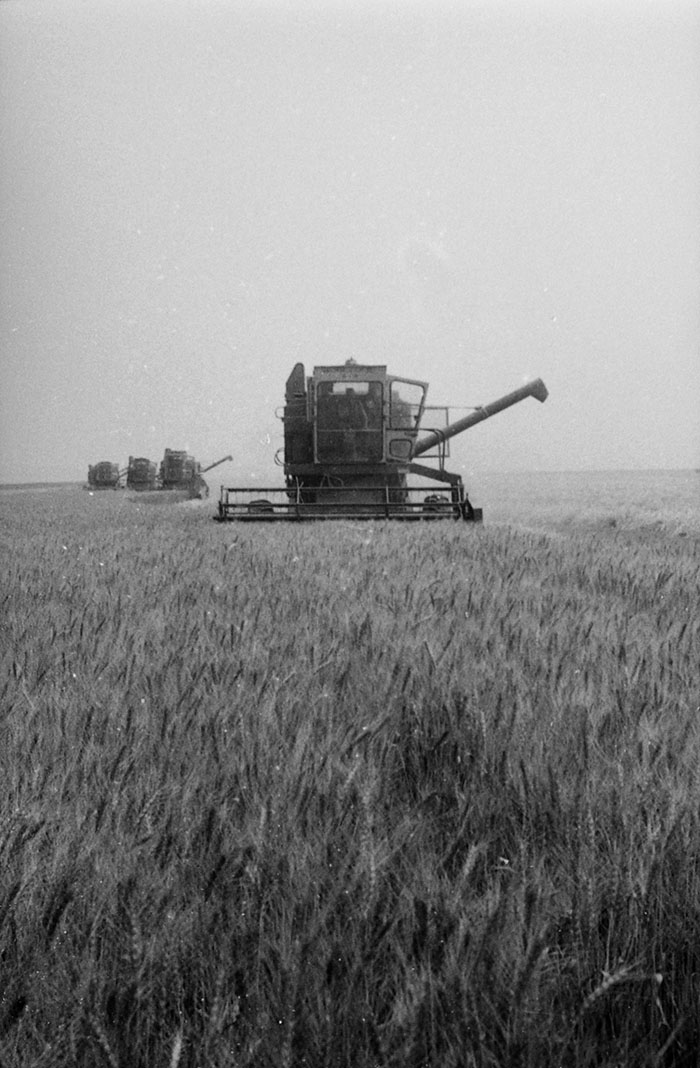 minerva_Agrar_c1_c4r5_003